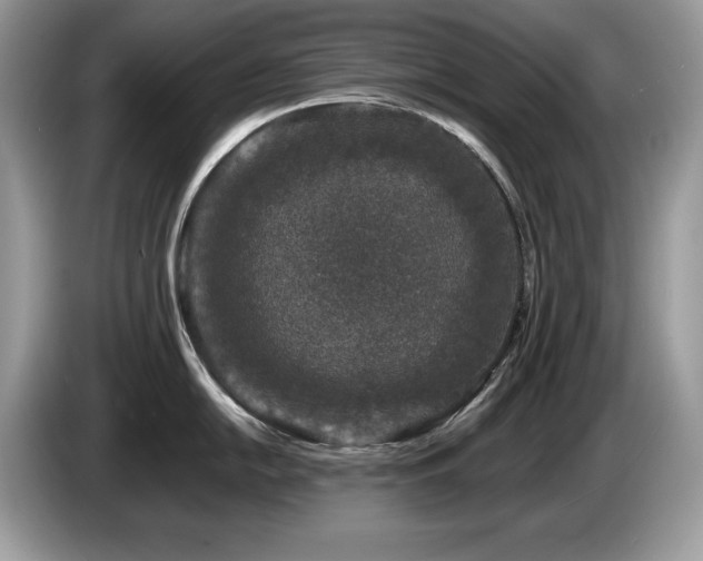 X0000087581054200704271302