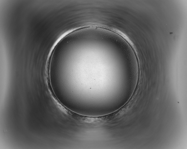 X0000087581056200704271302
