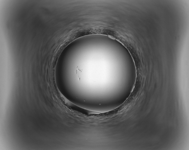 X0000087581057200704271301