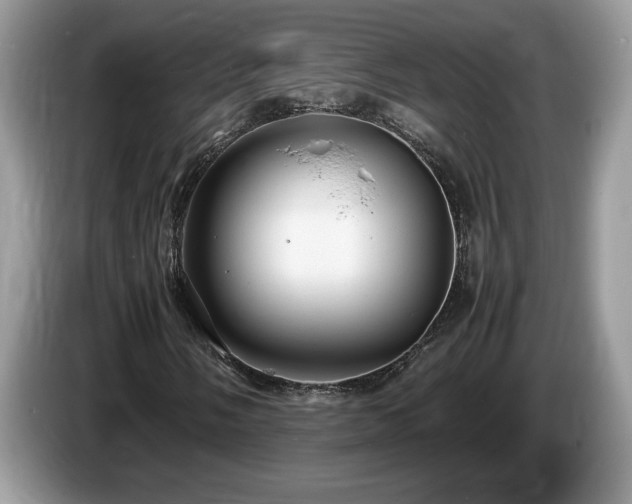X0000087581058200704271301