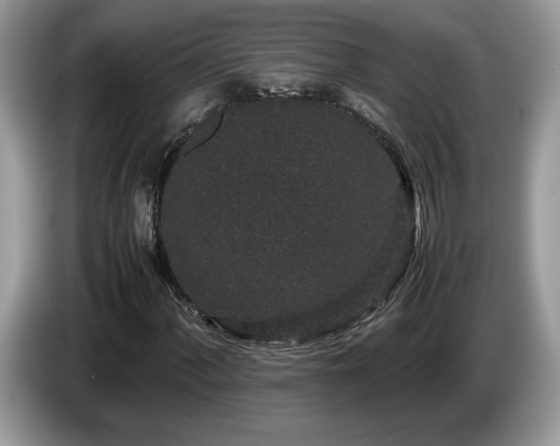 X0000087581060200704271301