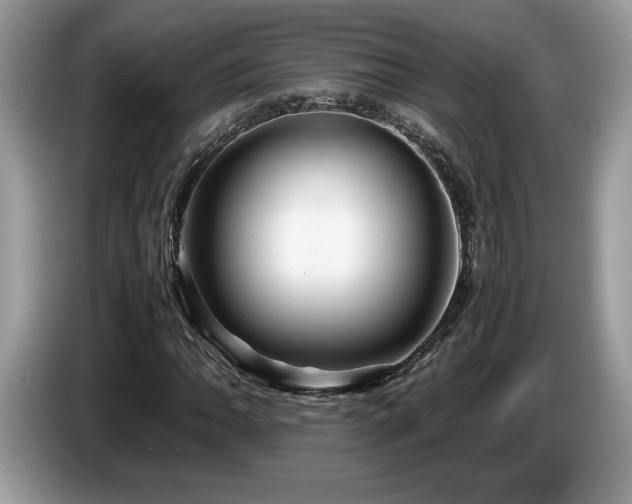 X0000087581062200704271301