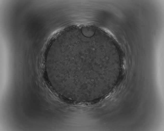 X0000087581063200704271301