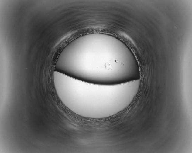X0000087581064200704271301