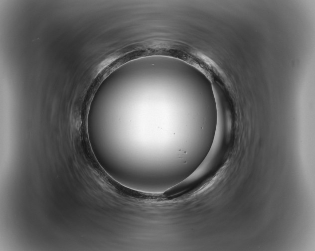 X0000087581065200704271301