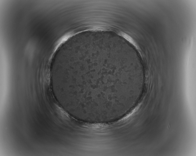 X0000087581067200704271301