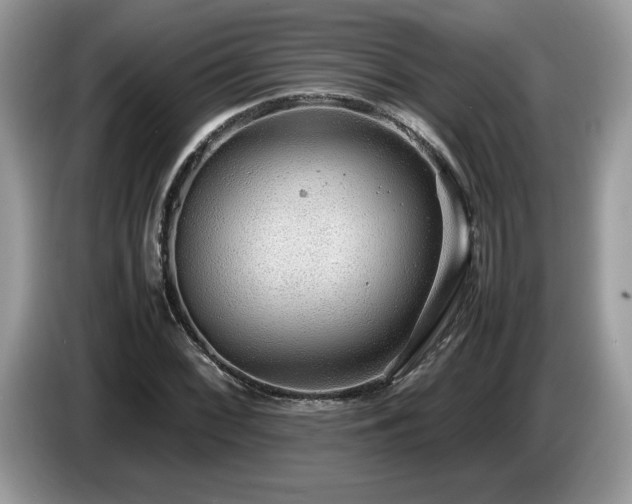 X0000087581068200704271301