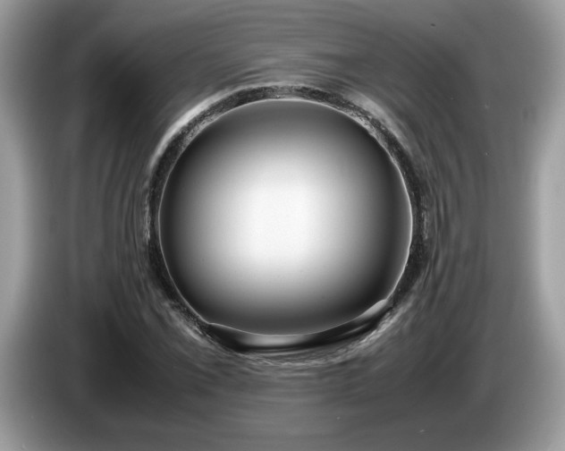 X0000087581069200704271301