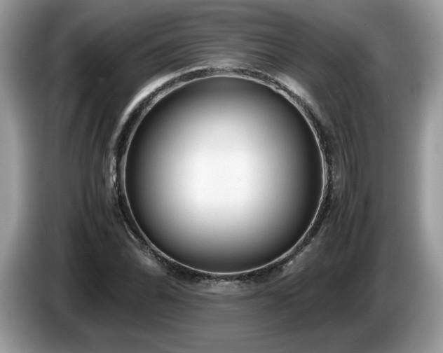 X0000087581070200704271301