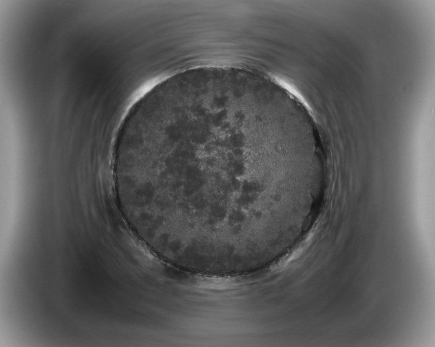 X0000087581071200704271301