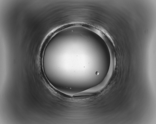 X0000087581072200704271301