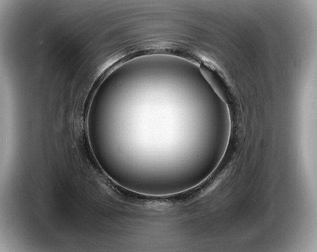 X0000087581073200704271301