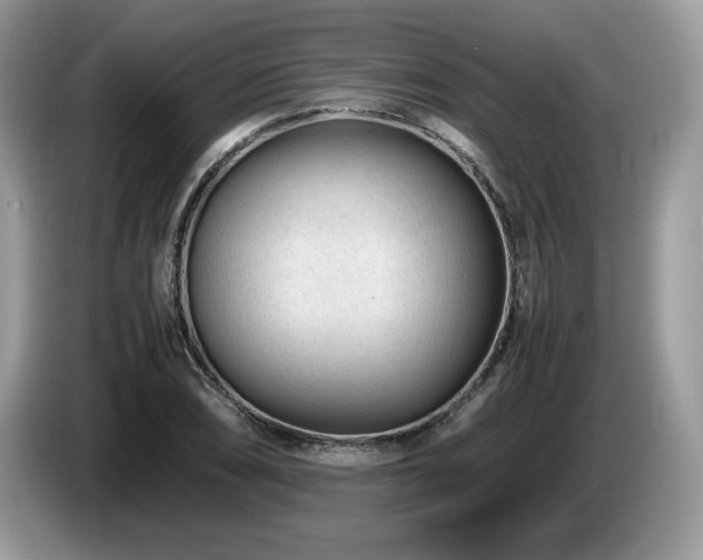 X0000087581074200704271301