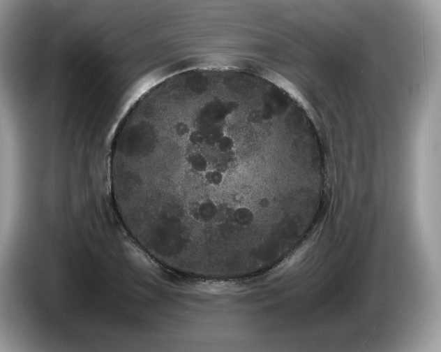 X0000087581075200704271301
