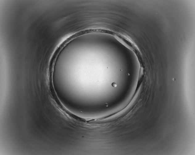 X0000087581076200704271301