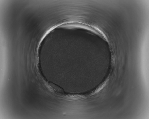 X0000087581077200704271301