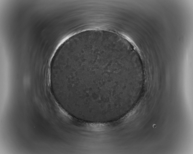 X0000087581079200704271301