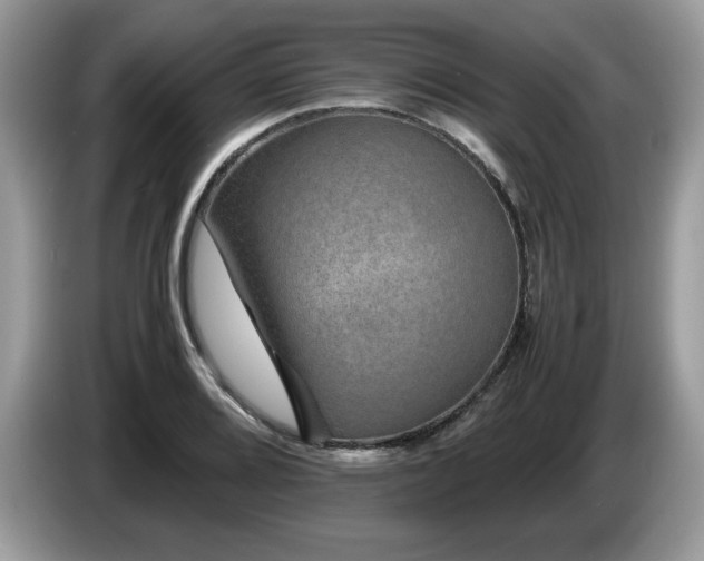 X0000087581080200704271301