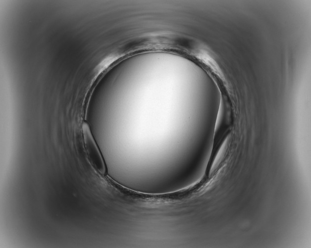X0000087581081200704271301