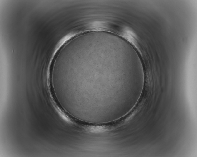 X0000087581082200704271301