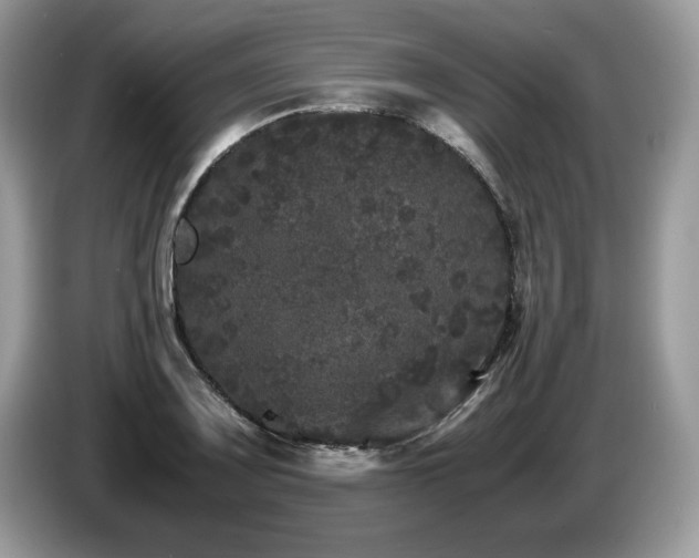 X0000087581083200704271301
