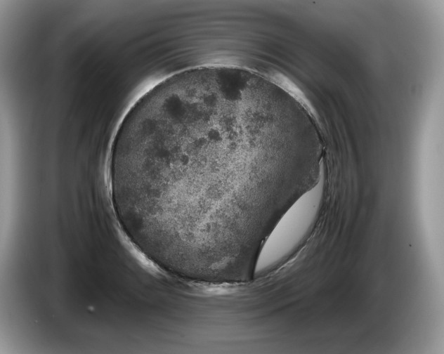 X0000087581084200704271301