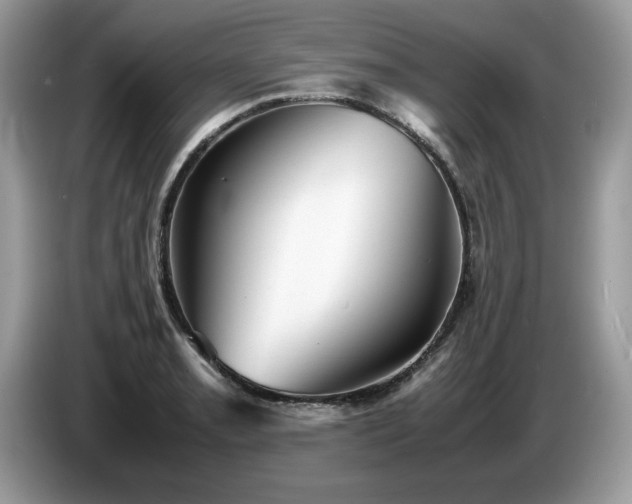 X0000087581085200704271301