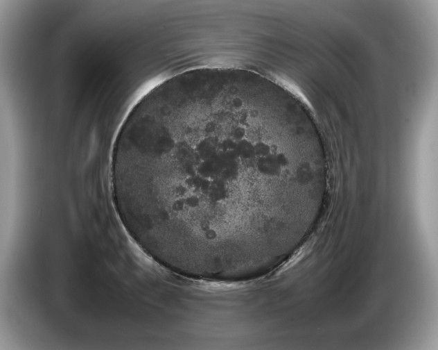 X0000087581087200704271301