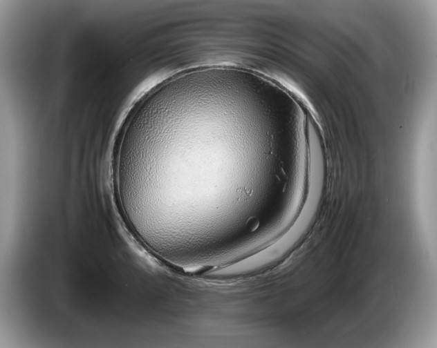X0000087581088200704271301
