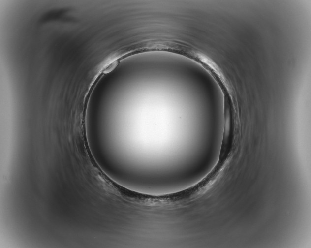 X0000087581089200704271301