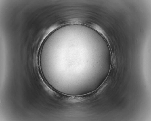 X0000087581090200704271301