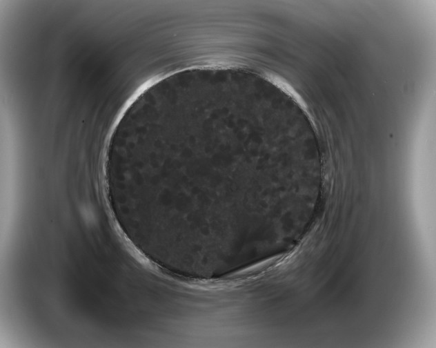 X0000087581091200704271301