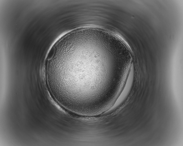 X0000087581092200704271301