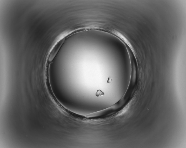 X0000087581093200704271301