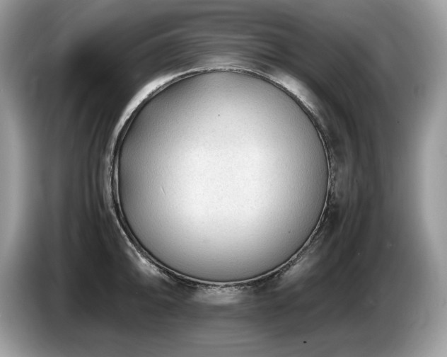 X0000087581094200704271301