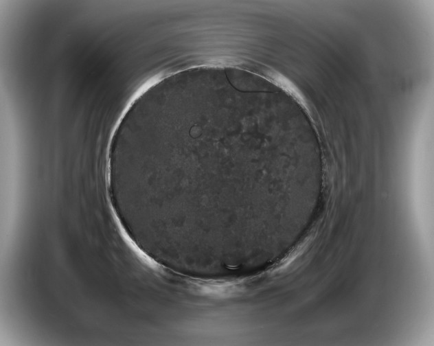X0000087581095200704271301