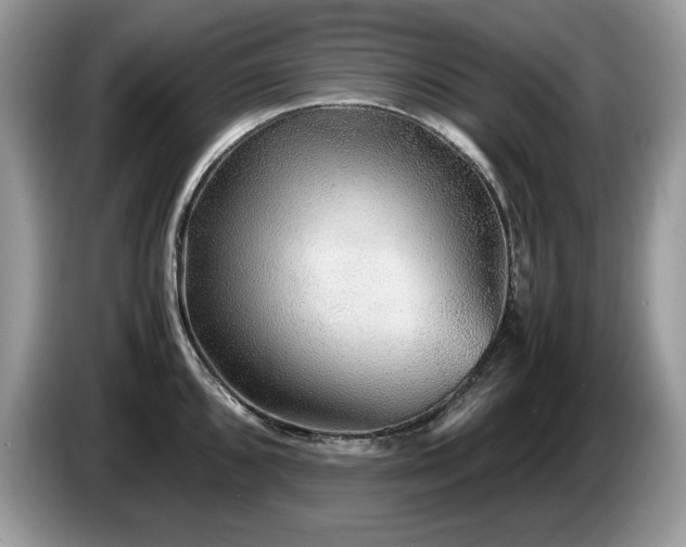 X0000087581096200704271301