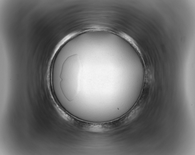 X0000087581098200704271301