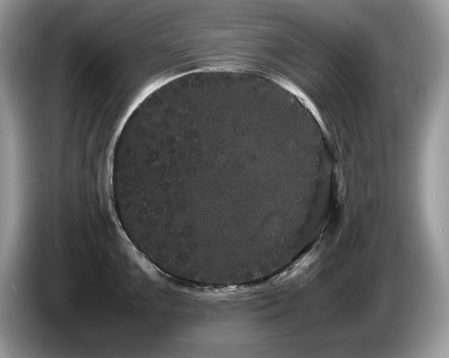 X0000087581099200704271301