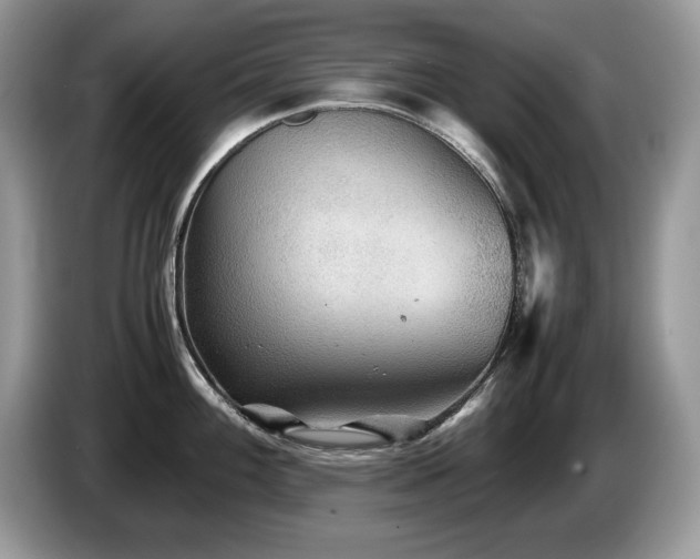 X0000087581100200704271301