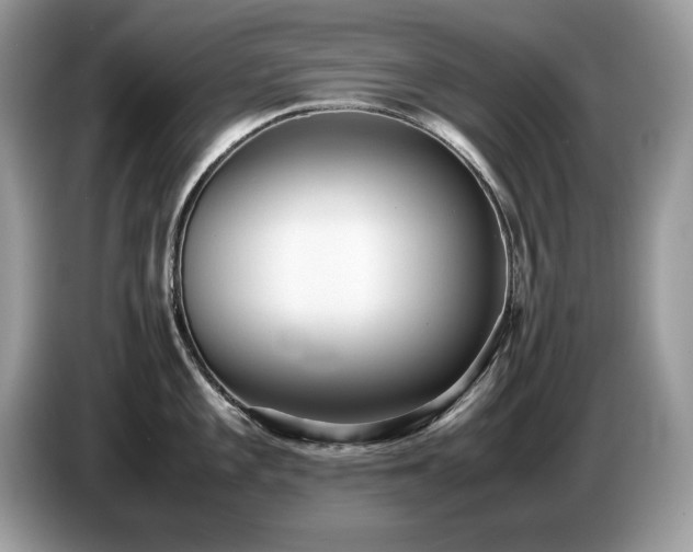 X0000087581101200704271301