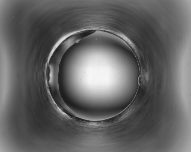 X0000087581102200704271300