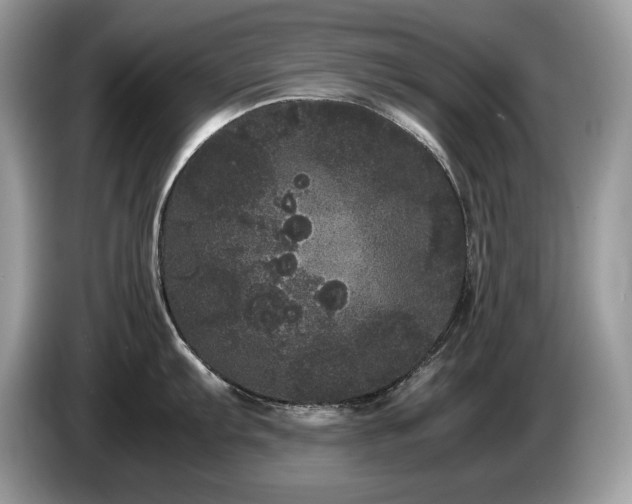 X0000087581103200704271300