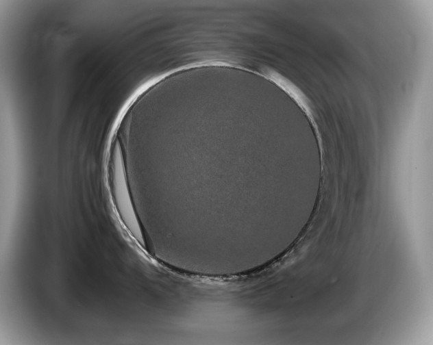 X0000087581104200704271300