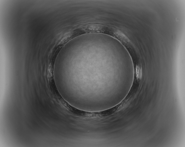 X0000087581107200704271300
