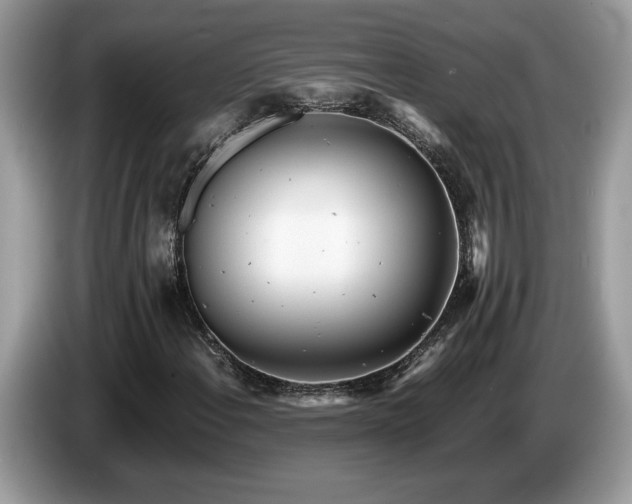 X0000087581108200704271300