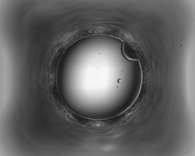 X0000087581109200704271300