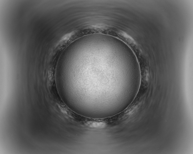 X0000087581110200704271300