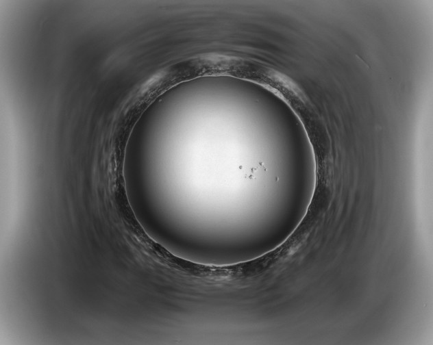 X0000087581111200704271300