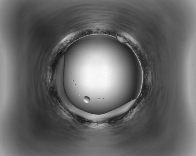 X0000087581112200704271300